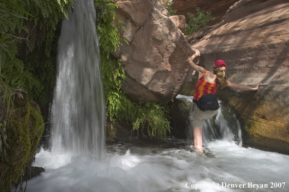 Hikers exploring feeder stream/waterfall of the Colorado River.  Grand Canyon.