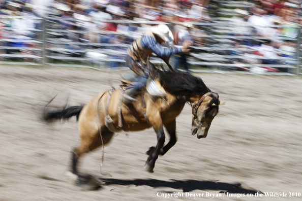 Augusta Rodeo