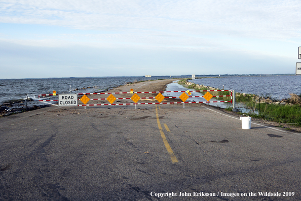 Road Closed due to wetland flooding