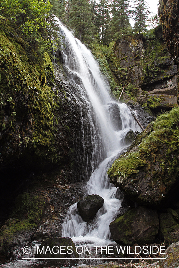 Waterfall in the Rocky Mountains.