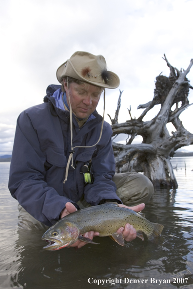 Flyfisherman releasing cutthroat trout.