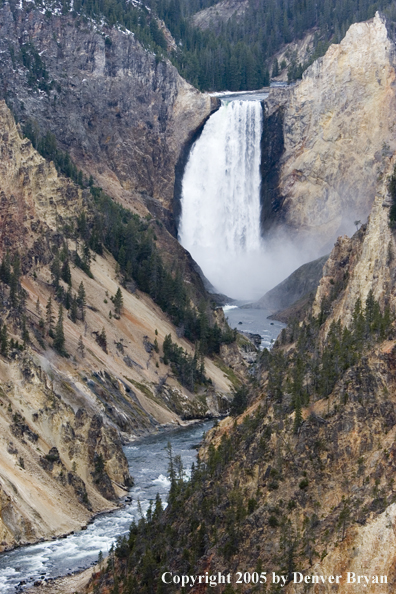 Waterfall landscape of Yellowstone Falls in Yellowstone National Park.