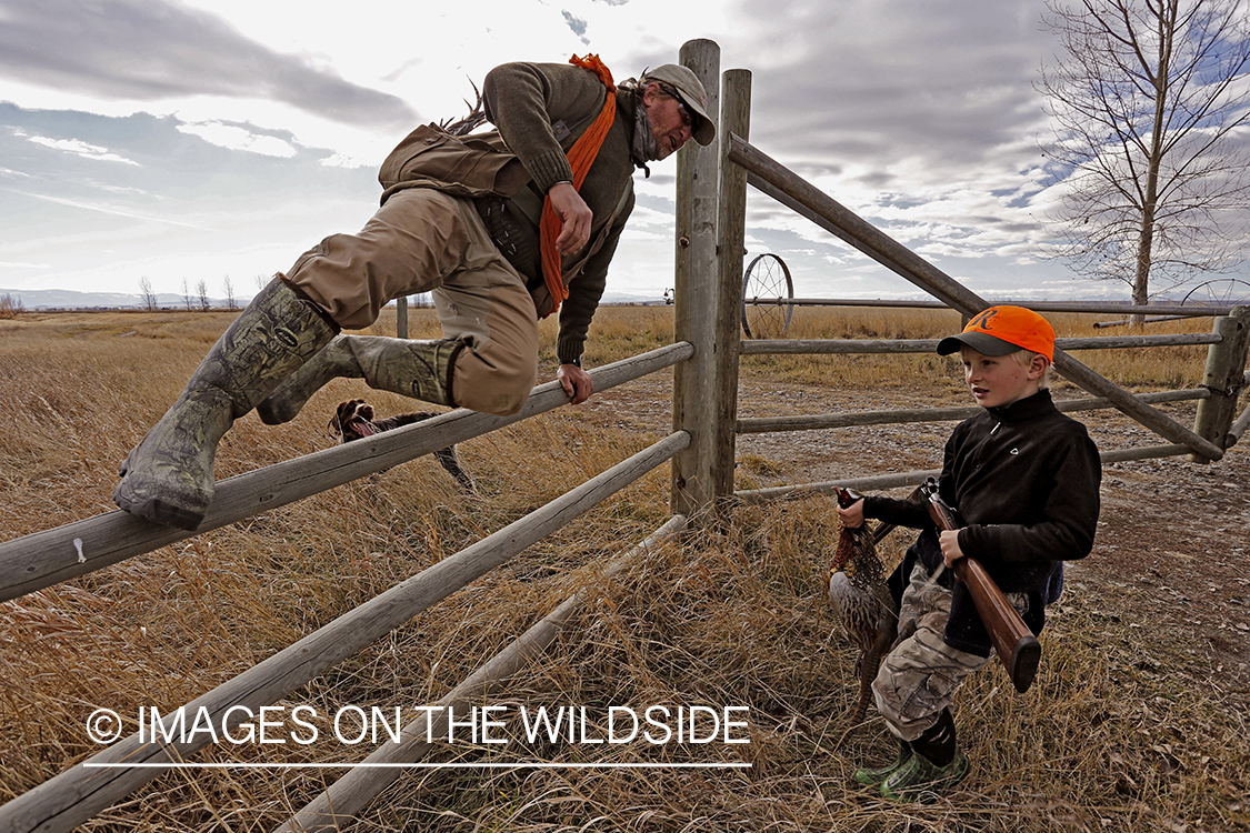 Father and son pheasant hunting. 