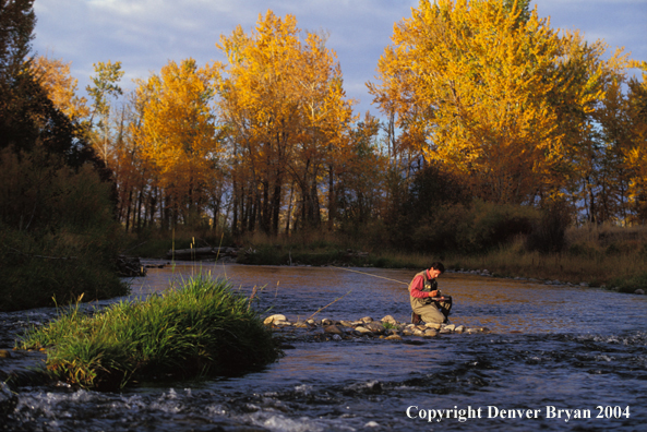 Flyfisherman choosing flies.