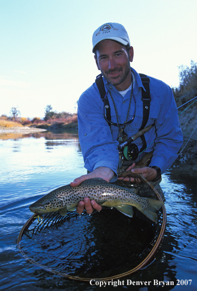 Flyfisherman releasing brown trout.