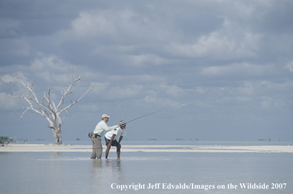 Guide and angler casting near dead mangrove tree