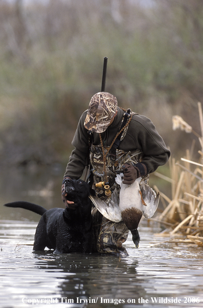 Waterfowl hunter and black lab with bagged duck.