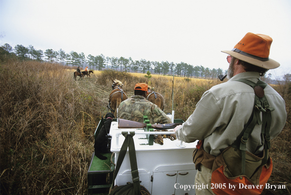 Upland bird hunters in mule drawn carriage hunting for Bobwhite quail.