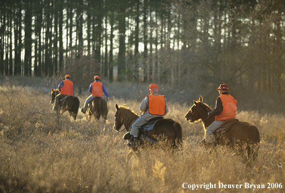 Upland gamebird hunters on horseback. 