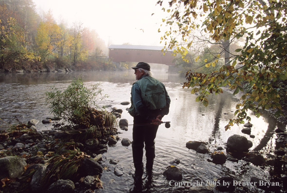 Flyfisherman on autumn colored stream.