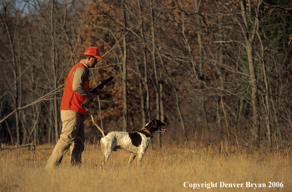 Upland game bird hunter with dog hunting.