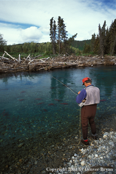 Flyfisherman tying fly.