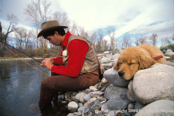 Flyfisherman tying flies with Golden retriver puppy.