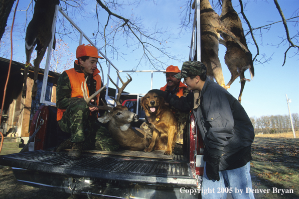 Father and young hunters with whitetail deer in truck.  Golden Retriever looking on.