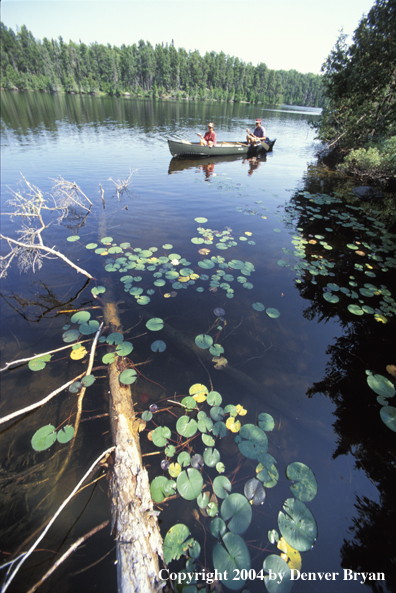 Father and son fishing from canoe.