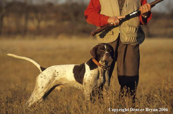 Upland game bird hunter with dog.