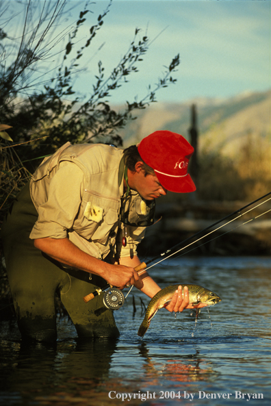 Flyfisherman holding brook trout.