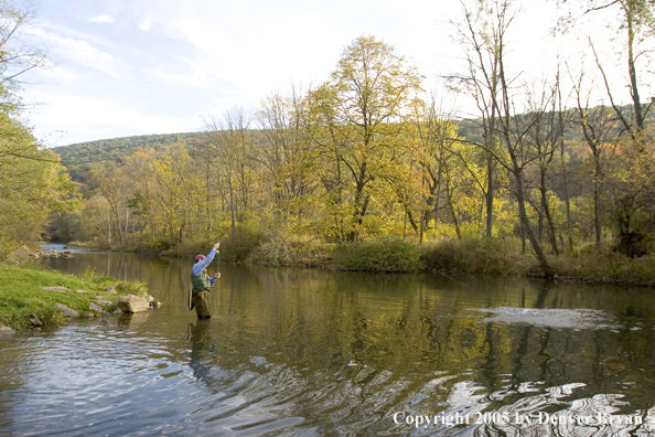 Flyfisherman on Pennsylvania spring creek.