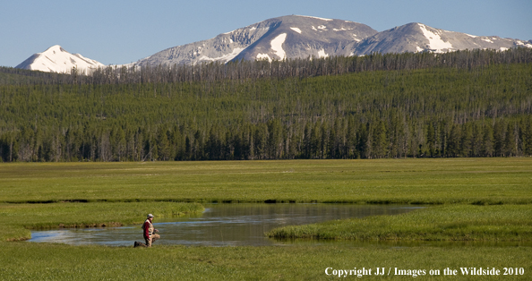 Gibbon River, Yellowstone National Park.