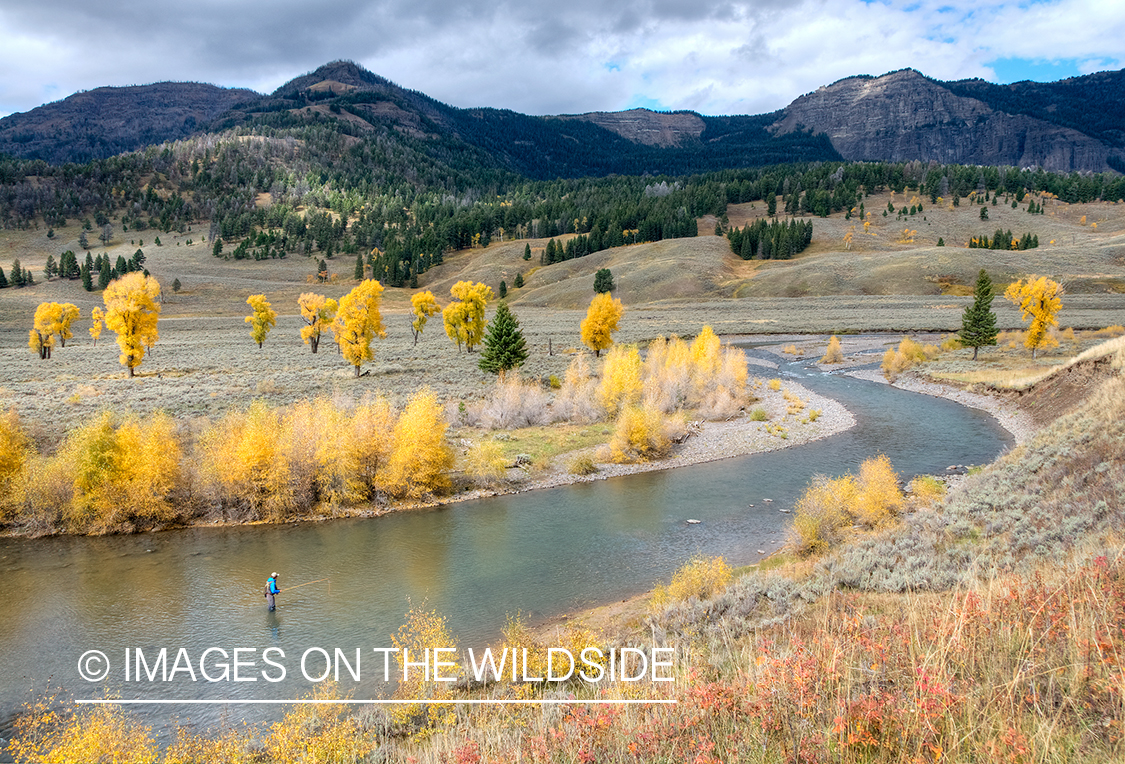 Flyfishing on Soda Butte Creek, YNP.