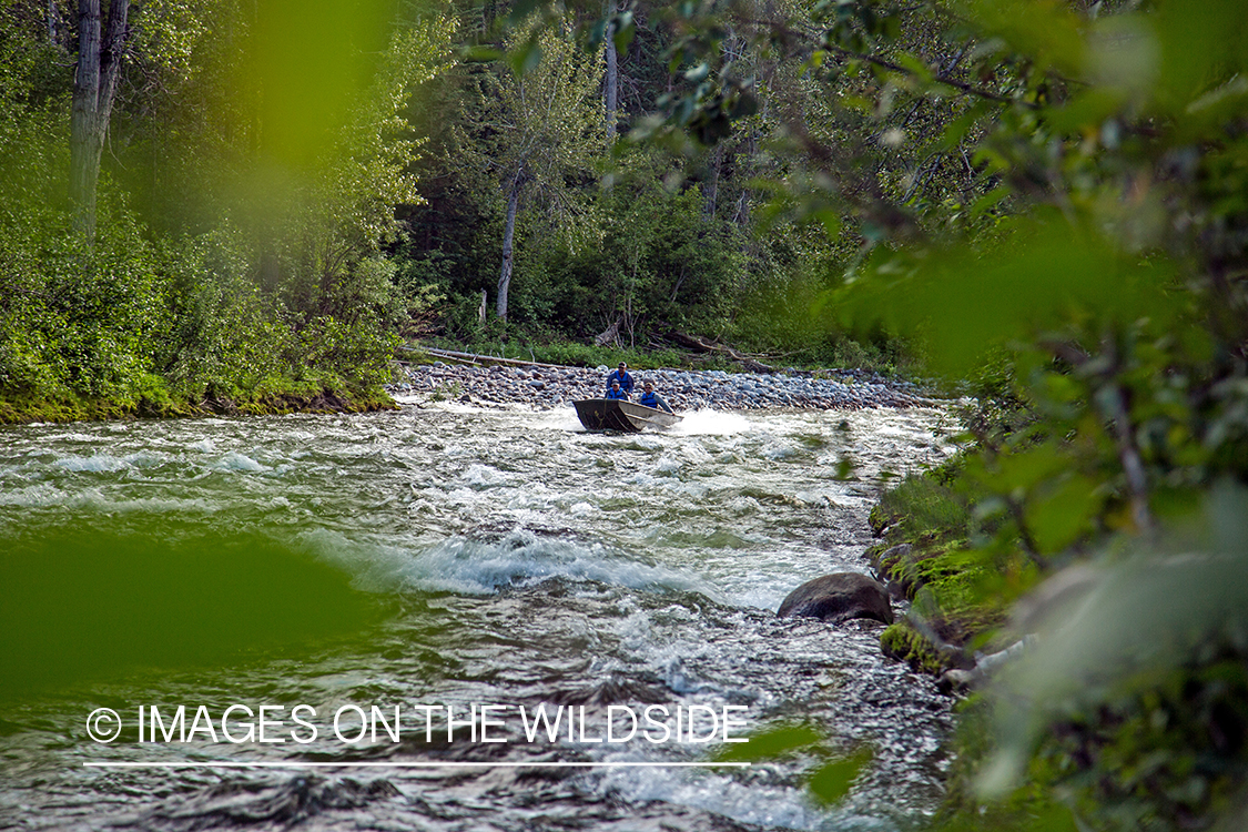 Flyfishermen motoring up stream in boat.