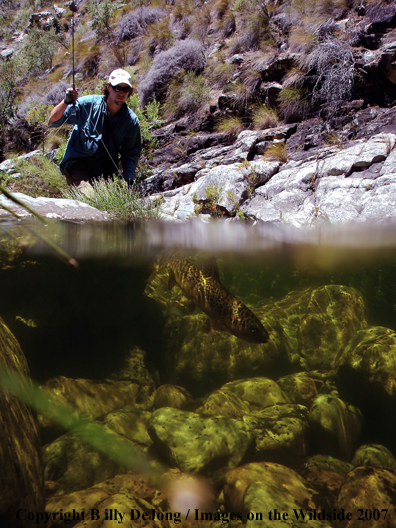 Flyfisherman with brown