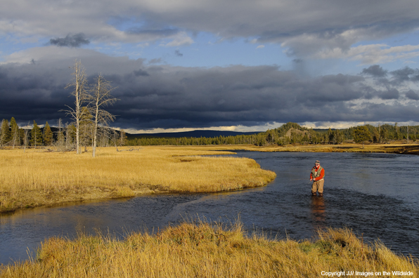 Flyfishing in Yellowstone.