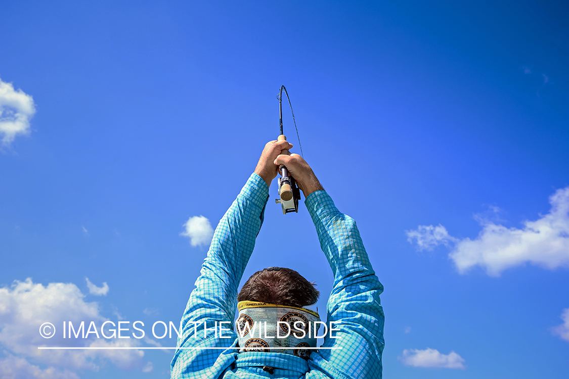 Flyfisherman fighting bonefish.