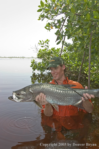 Flyfisherman w/tarpon 