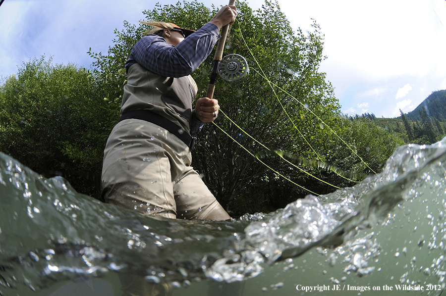 Flyfisher on river.