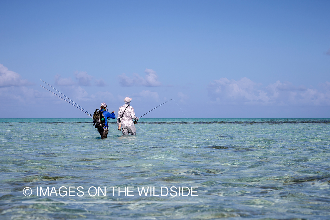 Flyfisherman on St. Brandon's Atoll flats, Indian Ocean.