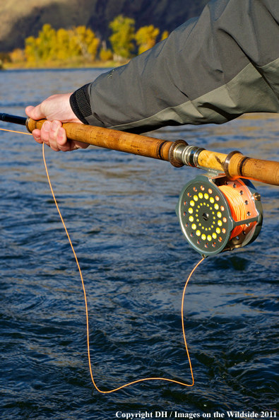 Flyfisherman with spey rod. 