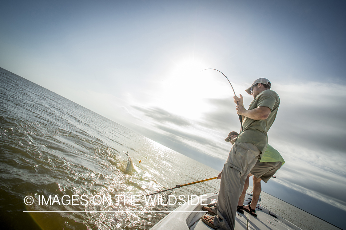 Fishermen brining in redfish.