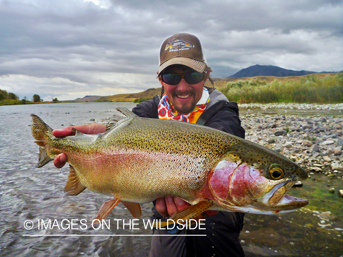 Flyfisherman with rainbow trout.