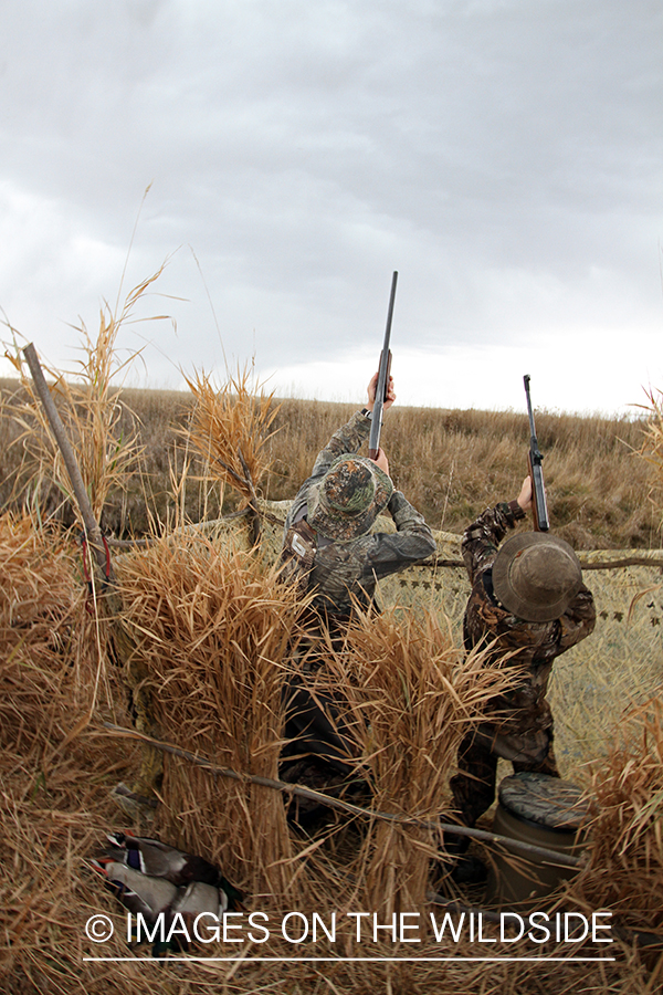 Father and son waterfowl hunters shooting at waterfowl.