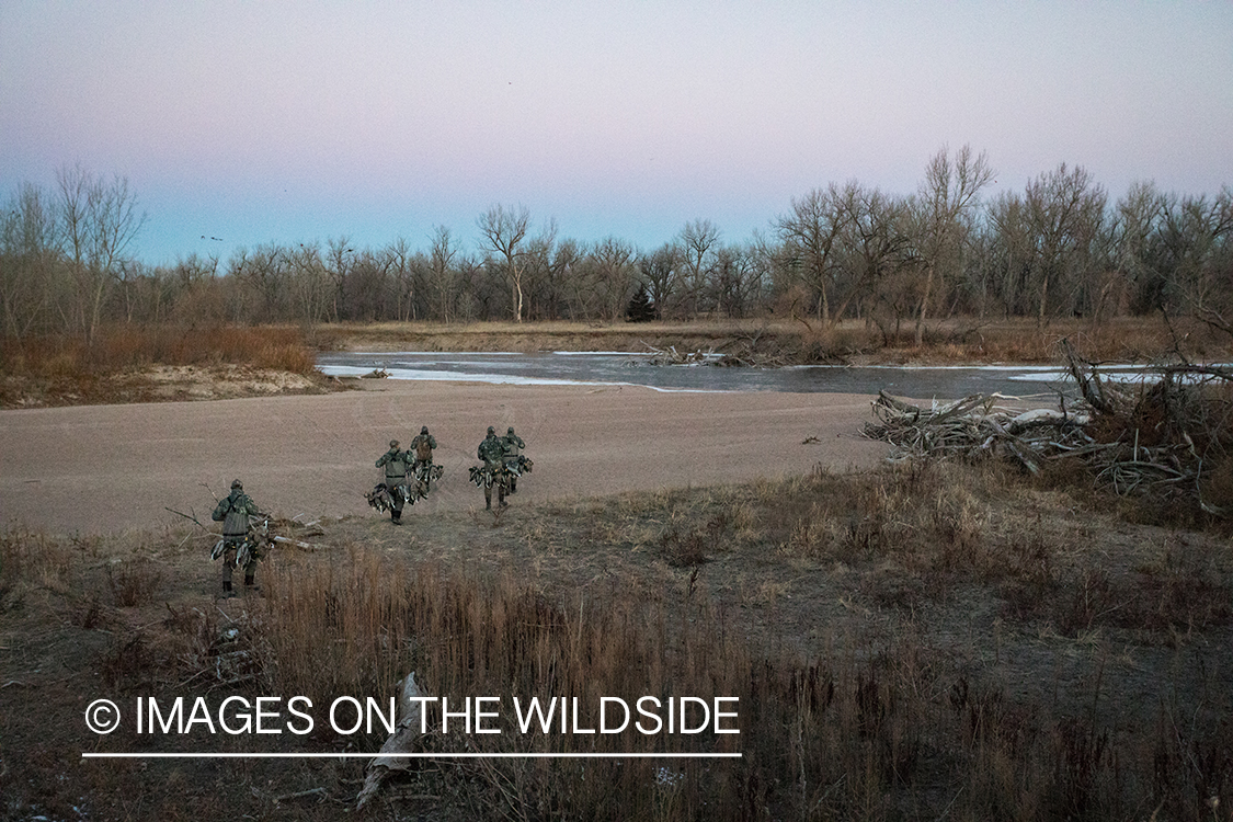 Waterfowl hunting