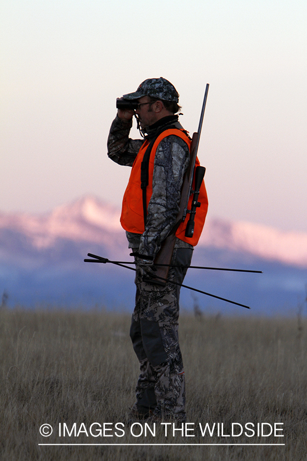 Big game hunter glassing for game in field. 