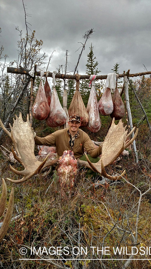 Hunters in camp with butchered moose. 