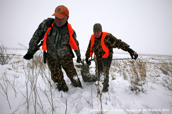 Father and son dragging son's downed white-tail buck though snow