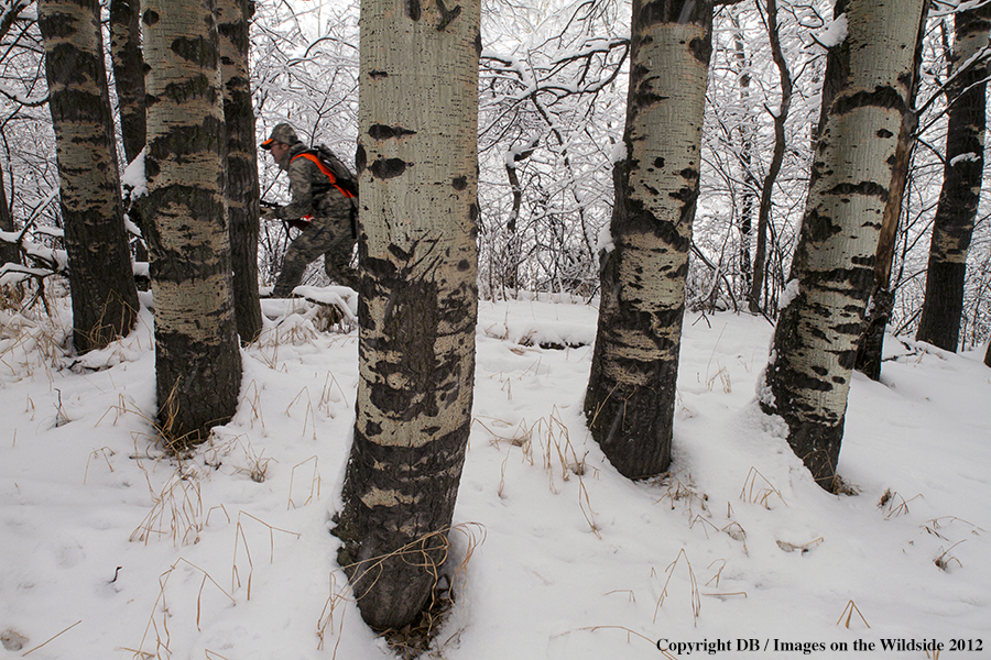 Hunter in field.