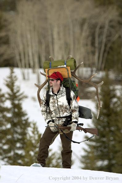 Big game hunter packing elk rack out on snowshoes.