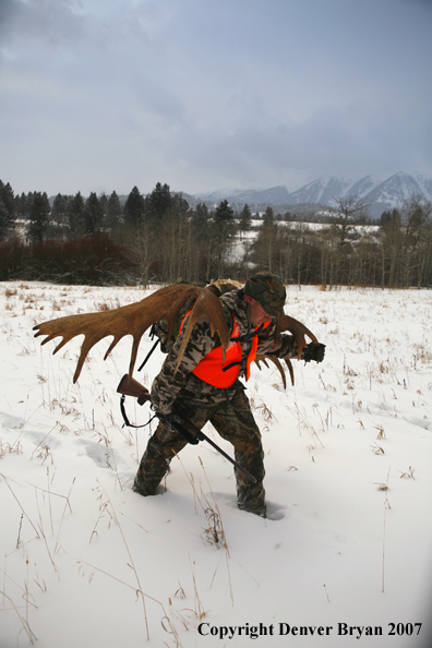 Moose hunter in field