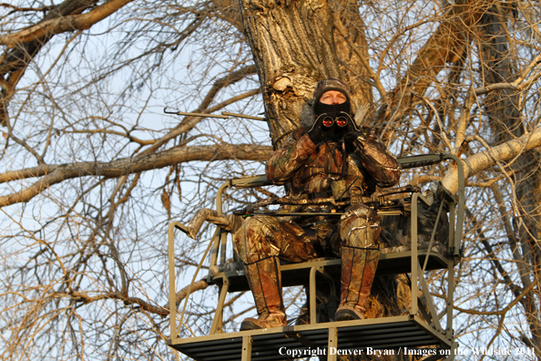 Bowhunter scouting from tree stand. 