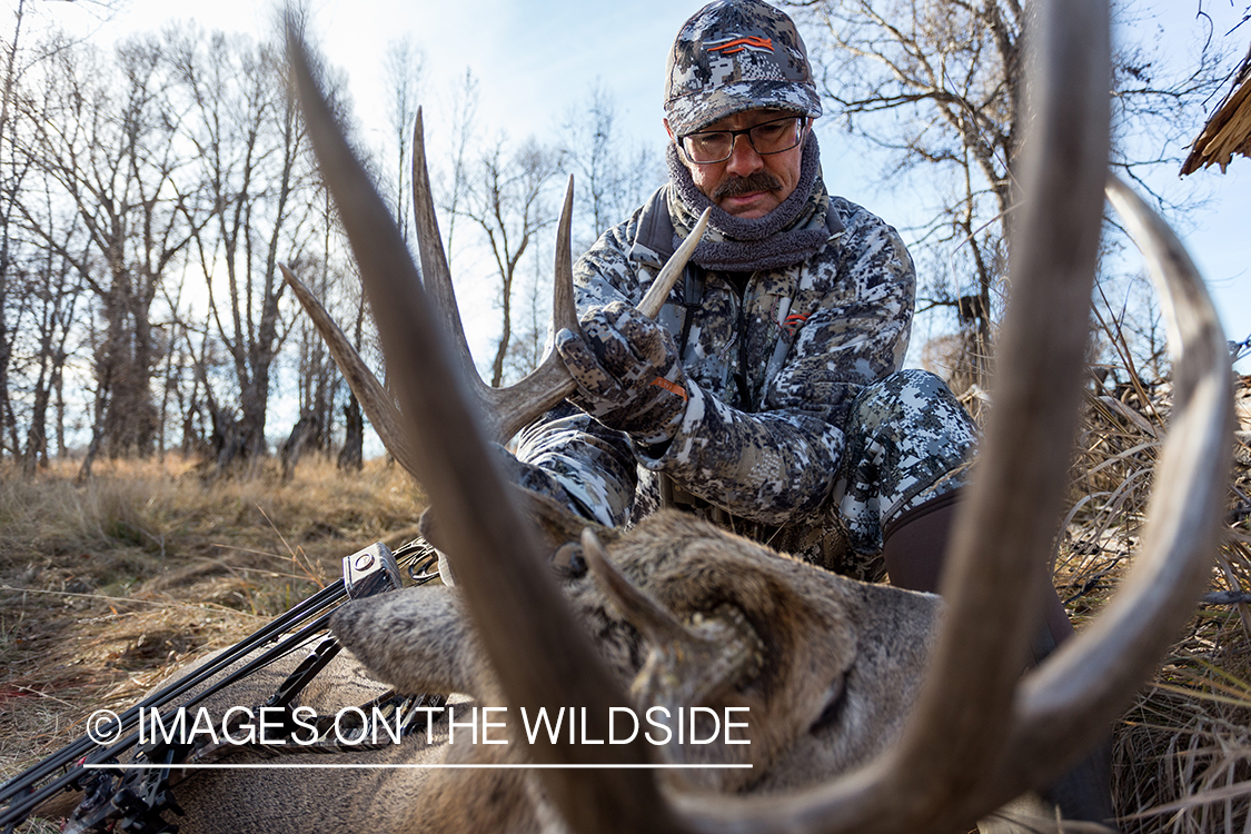 Bow hunter with downed white-tailed deer.