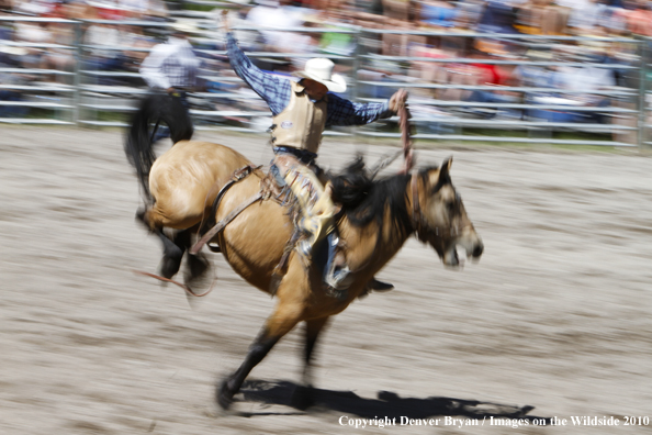 Augusta Rodeo