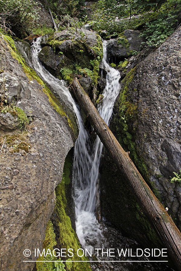 Waterfall in the Rocky Mountains.