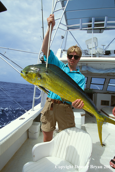 Fisherman with Dolphin.