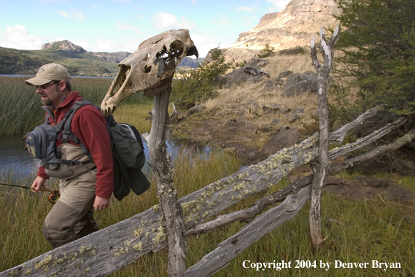 Flyfishermen walking along riverbank.  Horse skull in foreground.