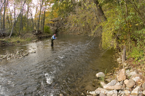 Flyfisherman on Pennsylvania spring creek.