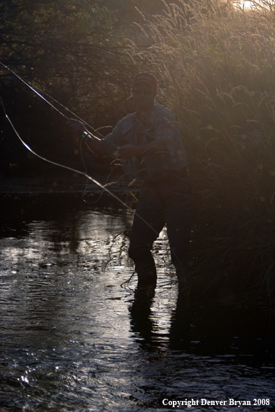 Flyfisherman casting line